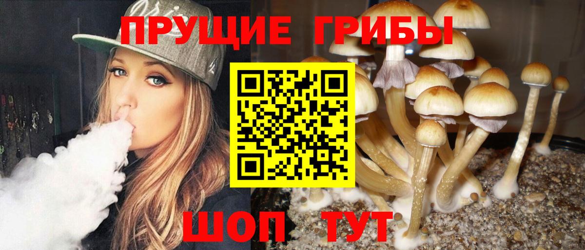 Псилоцибиновые грибы ЛСД Ростов Великий